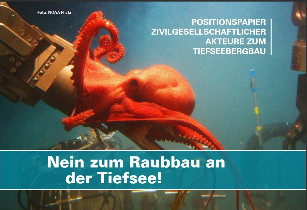 Working Group Deep Sea Mining