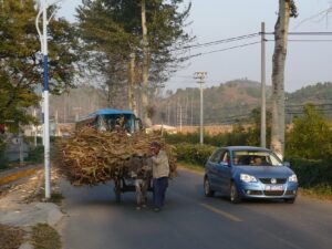 Lieferkettenverantwortung: Die Rolle Chinas…