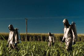 Les travailleurs épandent des pesticides sur les champs de soja