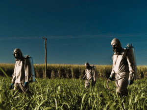 EU-Mercosur – Ein giftiges Abkommen