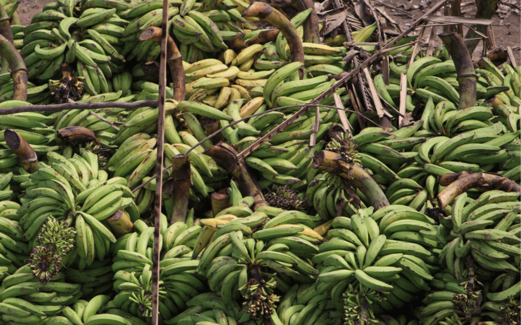 Travel guide: EU – Colombia, Peru & Ecuador
