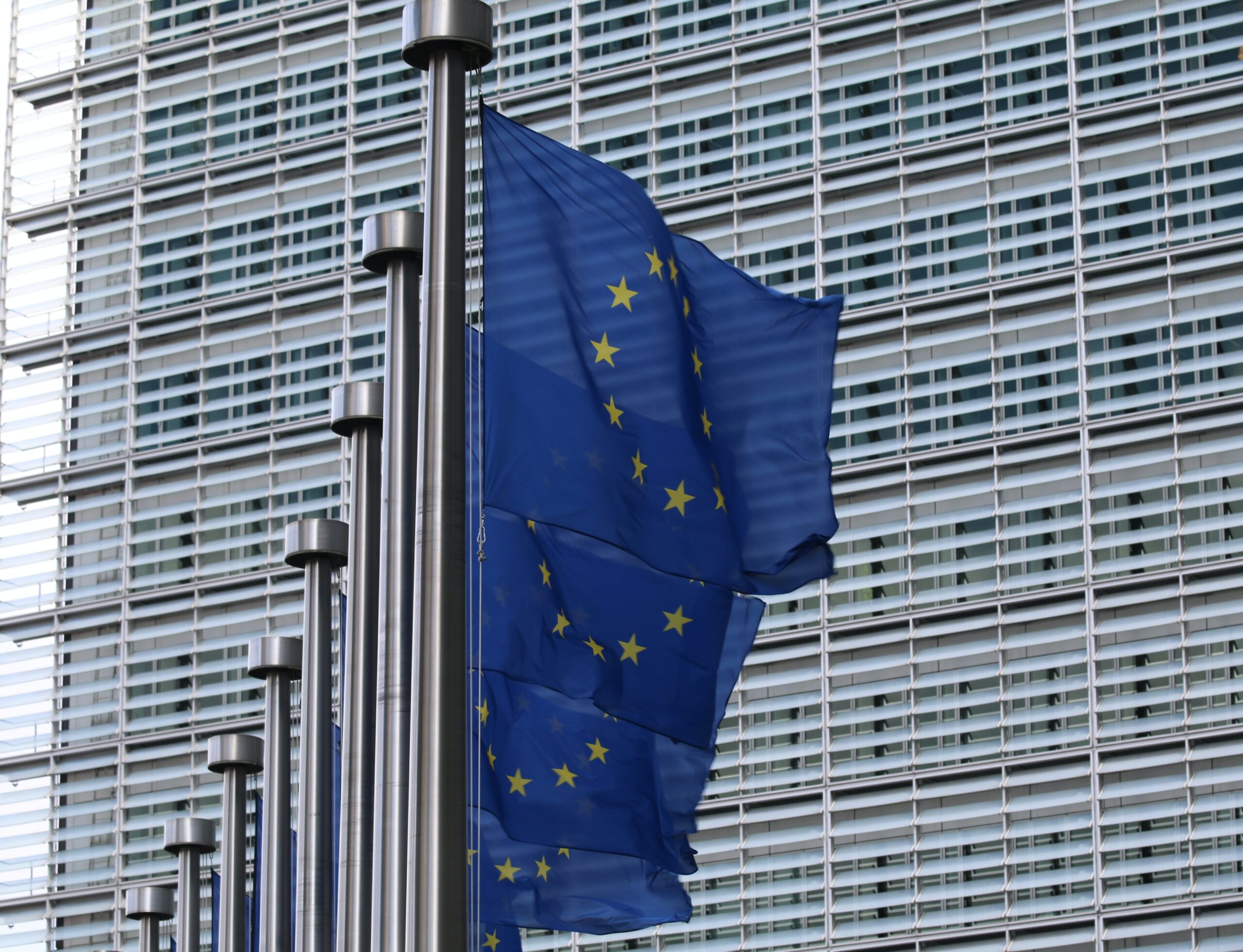 EU-Flaggen