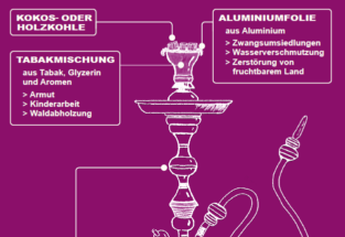 FactSheet Lieferketten-Wasserpfeifen
