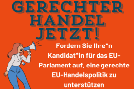 Promesses électorales européennes Élections