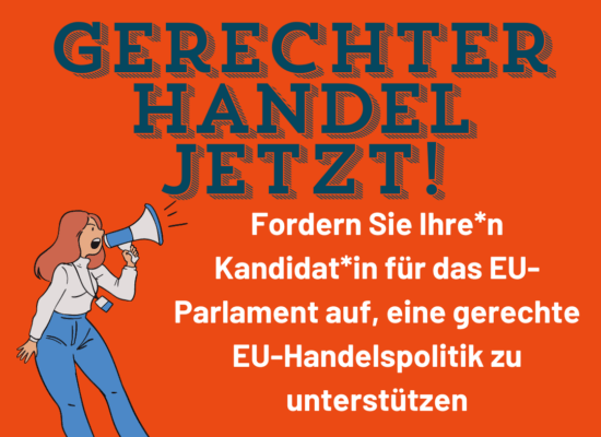 Wahlversprechen EU Wahlen