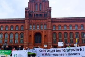 Protest vor dem roten Rathaus.