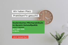 Praktikan*in gesucht! Studentisches Pflichpraktikum im Bereich Rohstoffpolitik (mind. 3 Monate) ab 1. März 2025 in Berlin