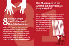 8 Gründe gegen das EU-Mercosur Handelsabkommen