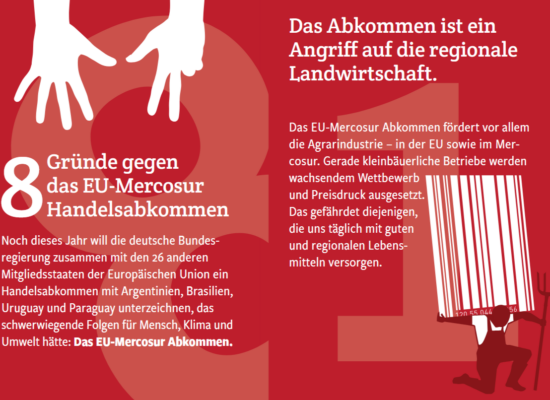 8 Gründe gegen das EU-Mercosur Handelsabkommen