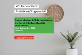 Studentisches Pflichtpraktikum im Bereich Rohstoffspolitik (mind. 3 Monate) Ab 1. September 2025