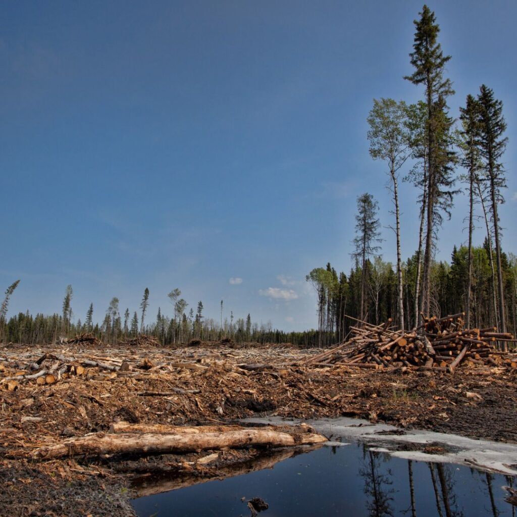 Die Europäische Kommission ignoriert die klimaschädlichen Auswirkungen von CETA