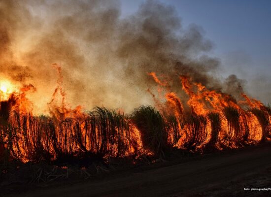 Waldbrand