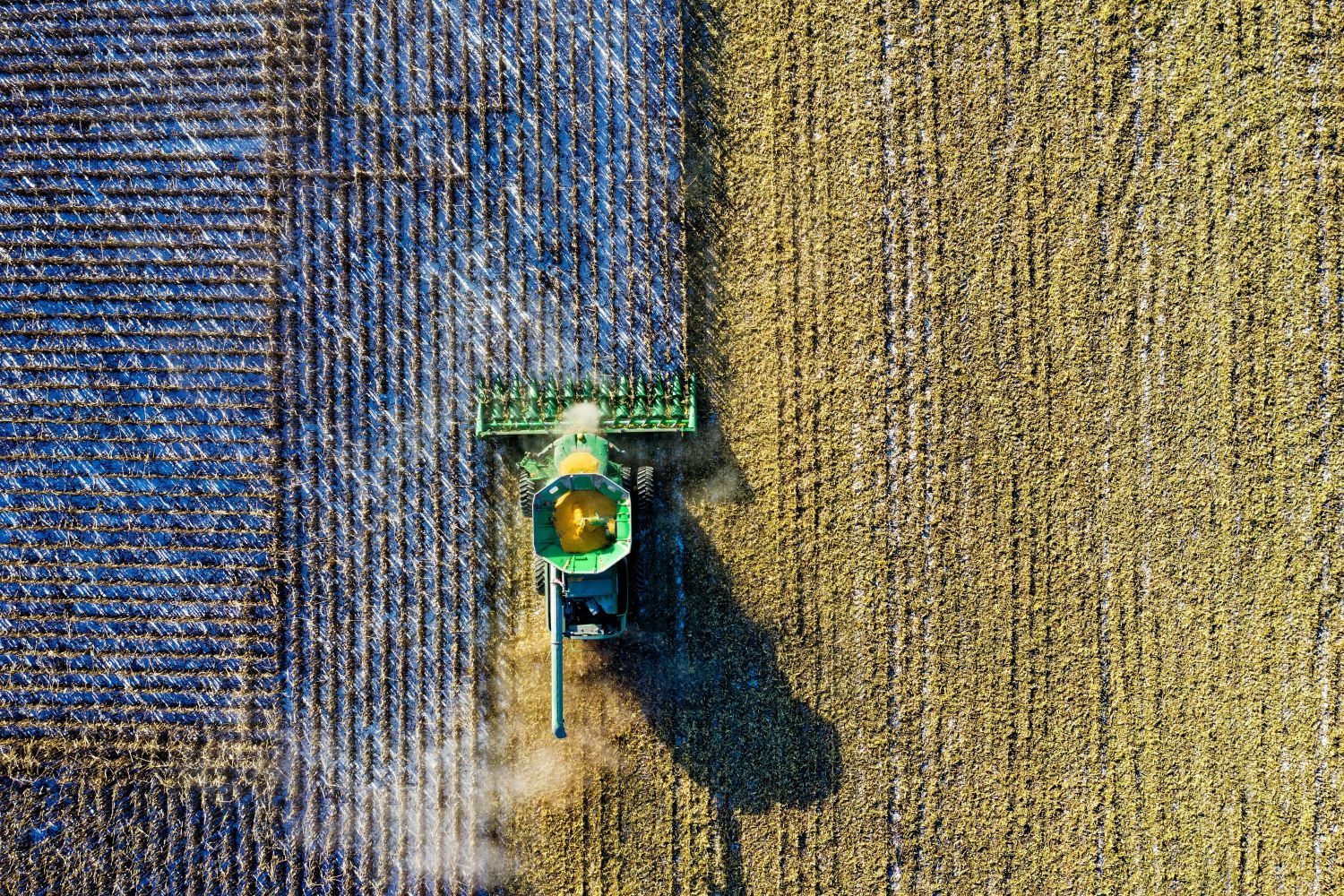 Traktor auf Feld