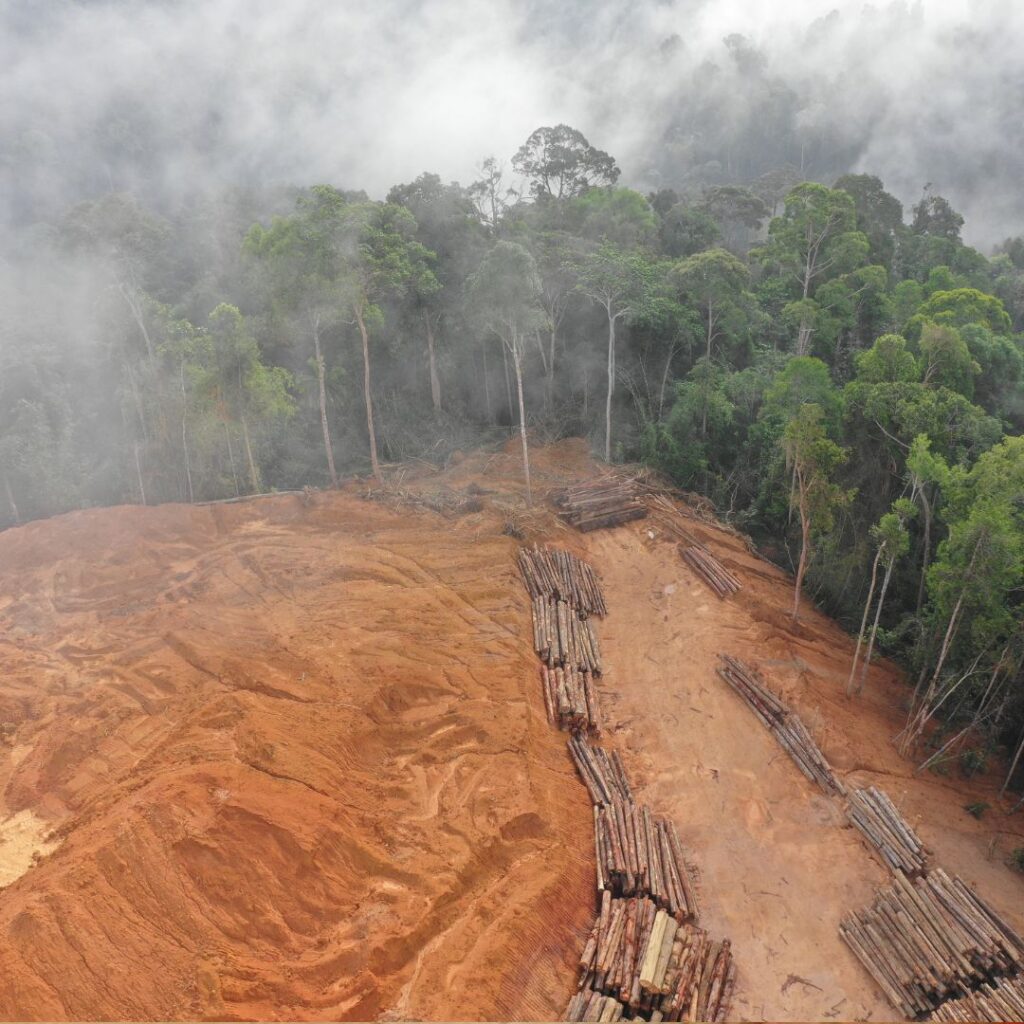 „Stoppt giftigen Handel!“ – Über 50 Organisationen starten Kampagne gegen Handelsabkommen zwischen EU & Lateinamerika